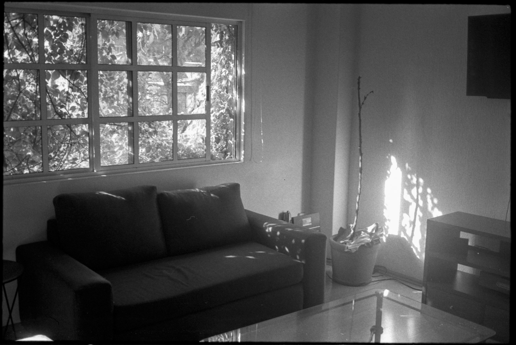 Ilford HP5 400 35mm film shot by Luis Mendoza (@luismendozamx) on the Olympus 35SP